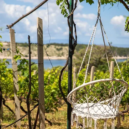 Private Vineyard House Banjol