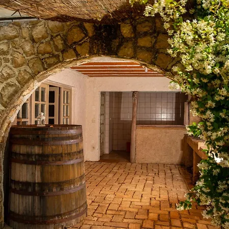 Ecological Vineyard House *