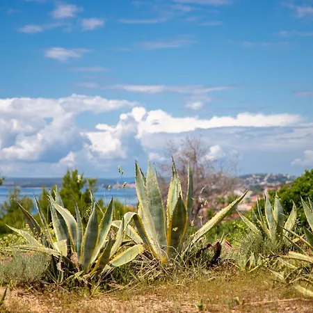 Pudarica Vineyard House Banjol