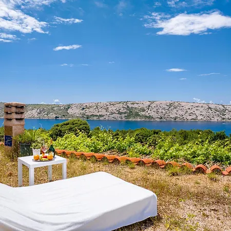 Pudarica Vineyard House *