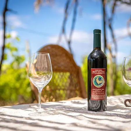 Semesterbostad Pudarica Vineyard House *