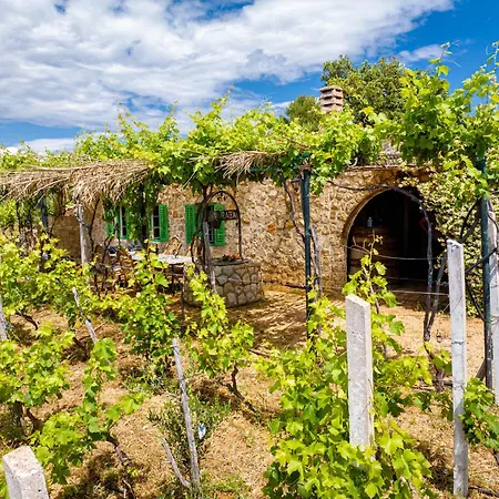 Semesterbostad Pudarica Vineyard House *