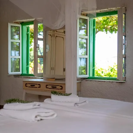 Pudarica Vineyard House Banjol