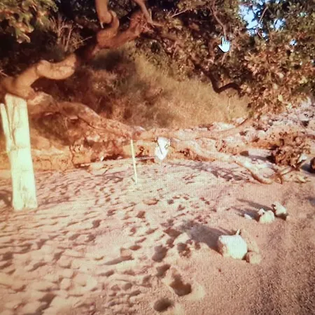 Semesterbostad Pudarica Vineyard House Banjol