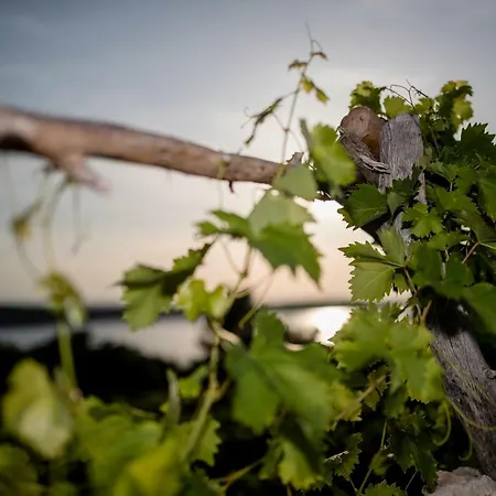 Semesterbostad Pudarica Vineyard House Banjol