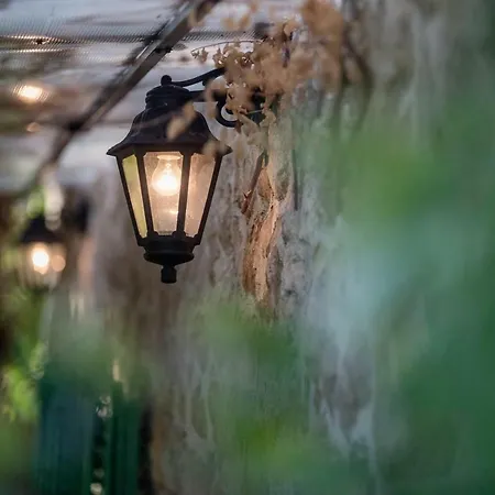 Semesterbostad Pudarica Vineyard House