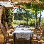 Private Vineyard House Ferienhaus Banjol
