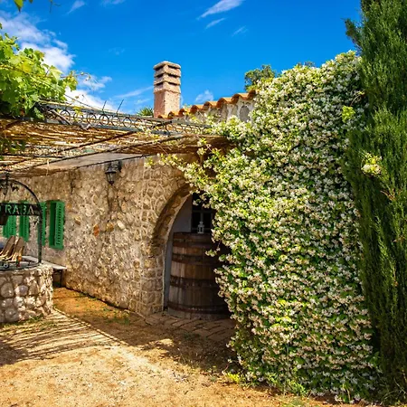 Private Vineyard House