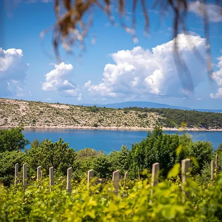 Hébergement de vacances Private Vineyard House