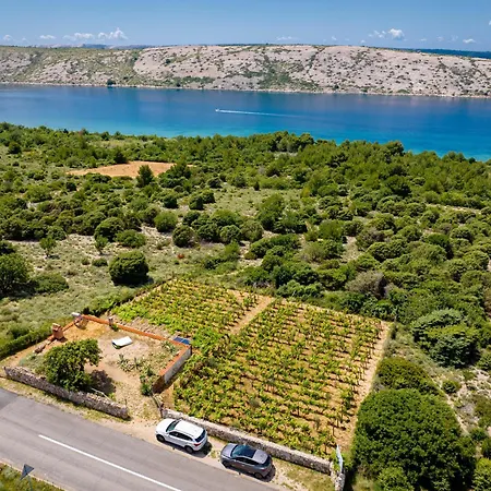 Private Vineyard House