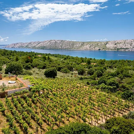 Hébergement de vacances Private Vineyard House Banjol