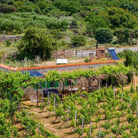 Private Vineyard House Banjol