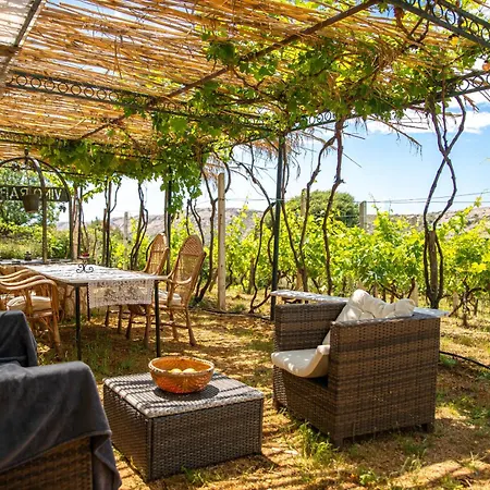 Ecological Vineyard House