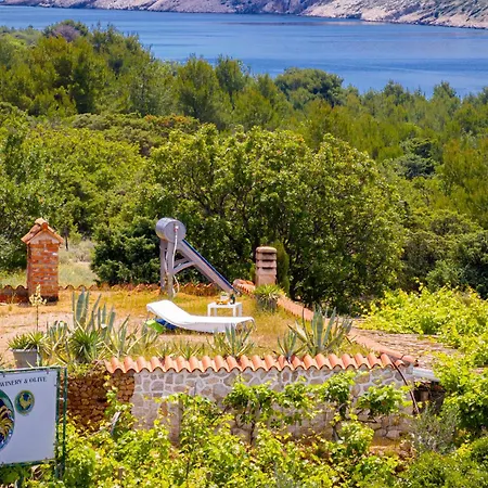 Dom wakacyjny Private Vineyard House *