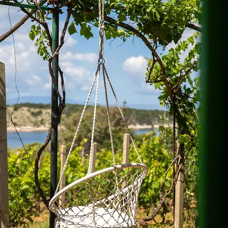 Pudarica Vineyard House Banjol