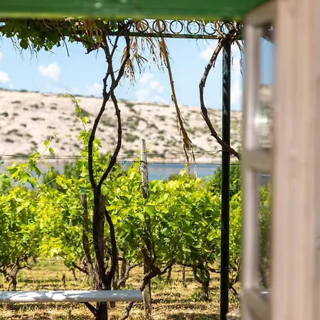 Pudarica Vineyard House Vakantiehuis Banjol