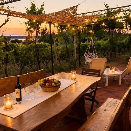 Private Vineyard House Holiday home