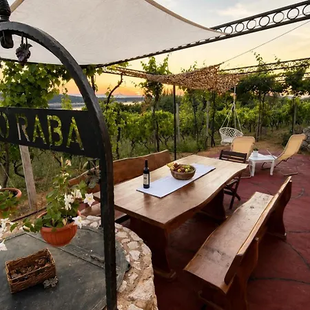 Holiday home Private Vineyard House Banjol