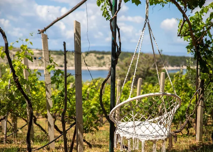 Private Vineyard House Banjol