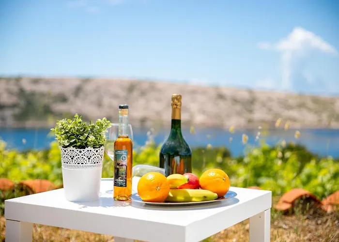 Private Vineyard House Banjol