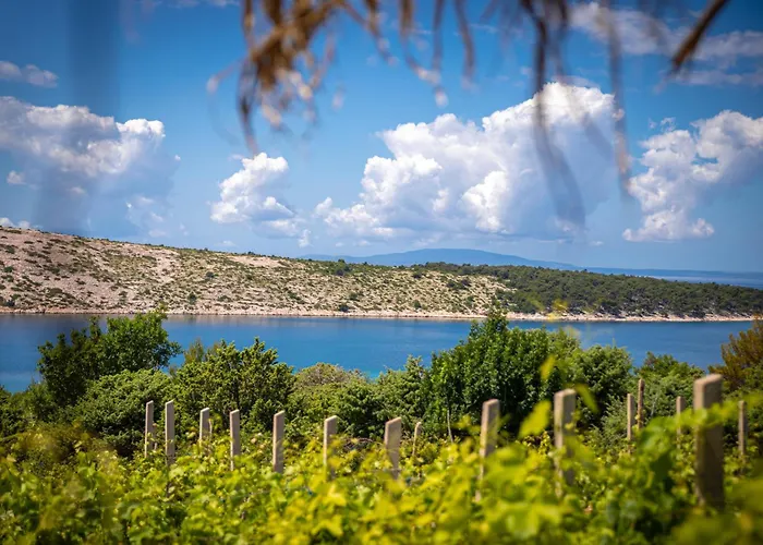 Hébergement de vacances Private Vineyard House