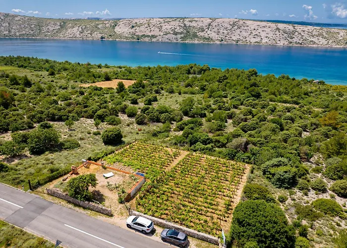 Private Vineyard House