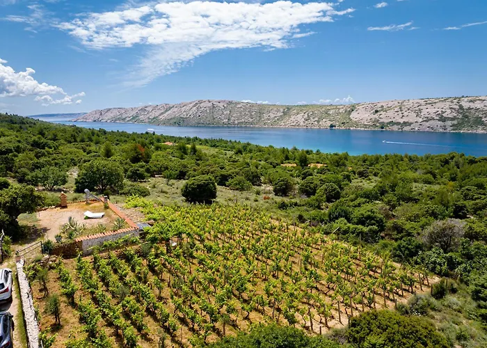 Hébergement de vacances Private Vineyard House Banjol