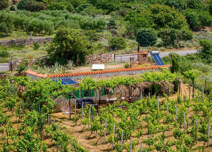 Private Vineyard House Banjol