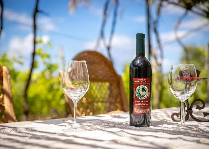 Hébergement de vacances Private Vineyard House *