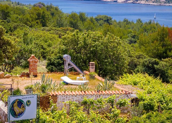 Hébergement de vacances Private Vineyard House *
